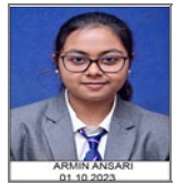 ARMIN ANSARI